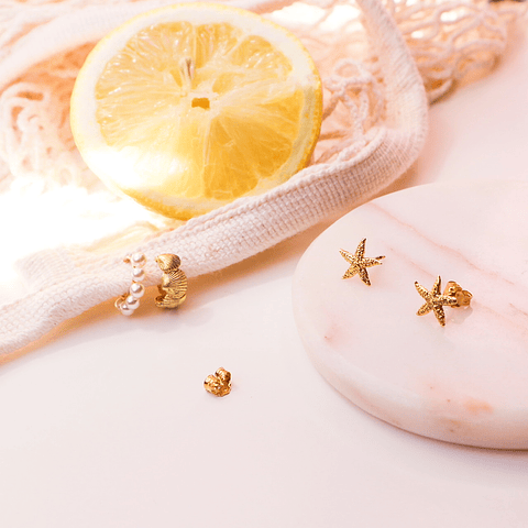 Brincos estrela do mar 