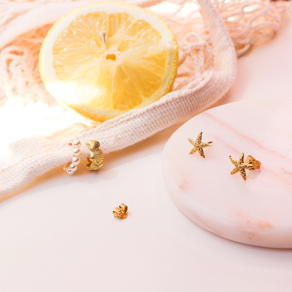 Brincos estrela do mar  1