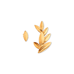 Brincos leaf 