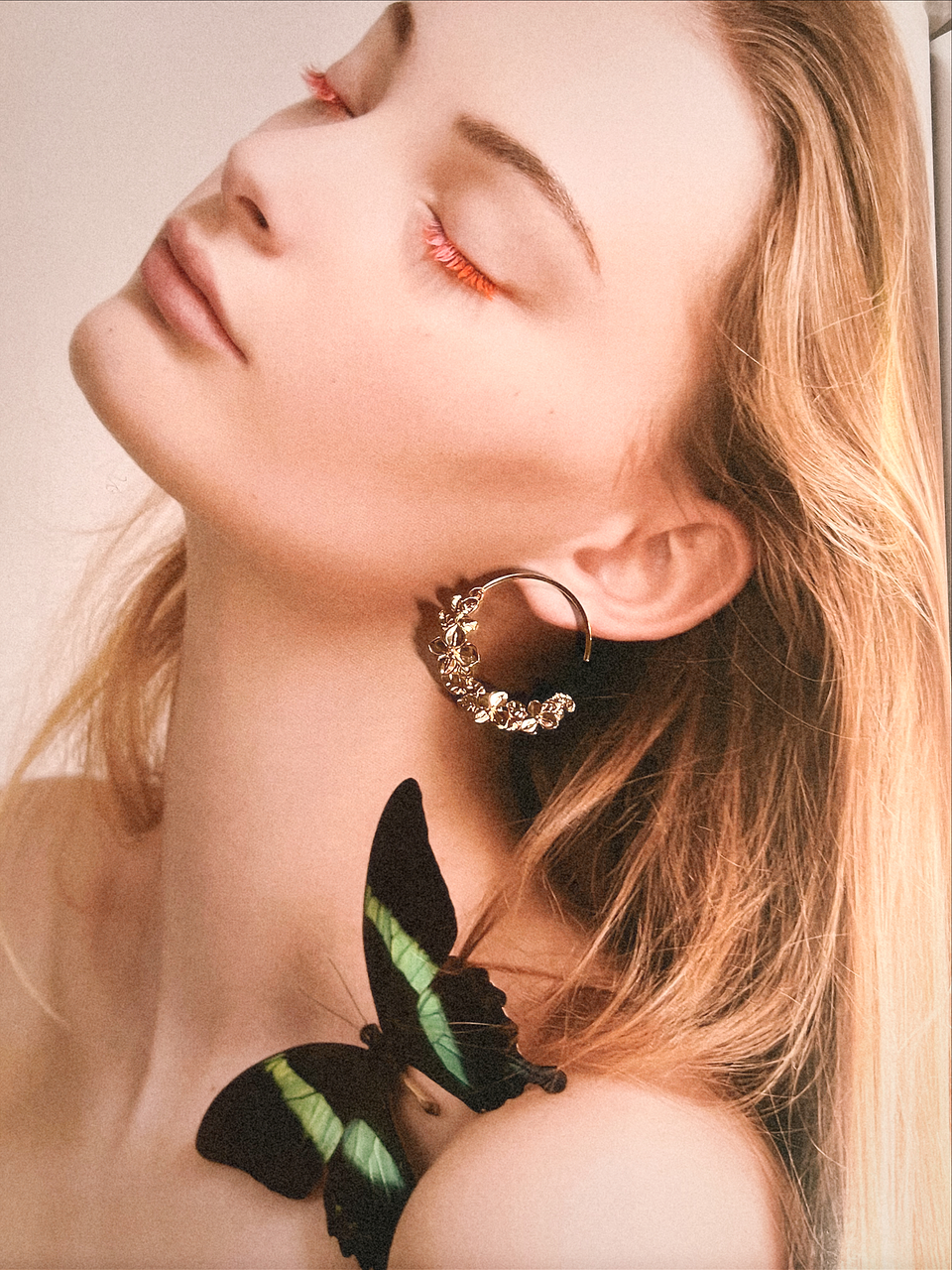 Argolas florescer  2