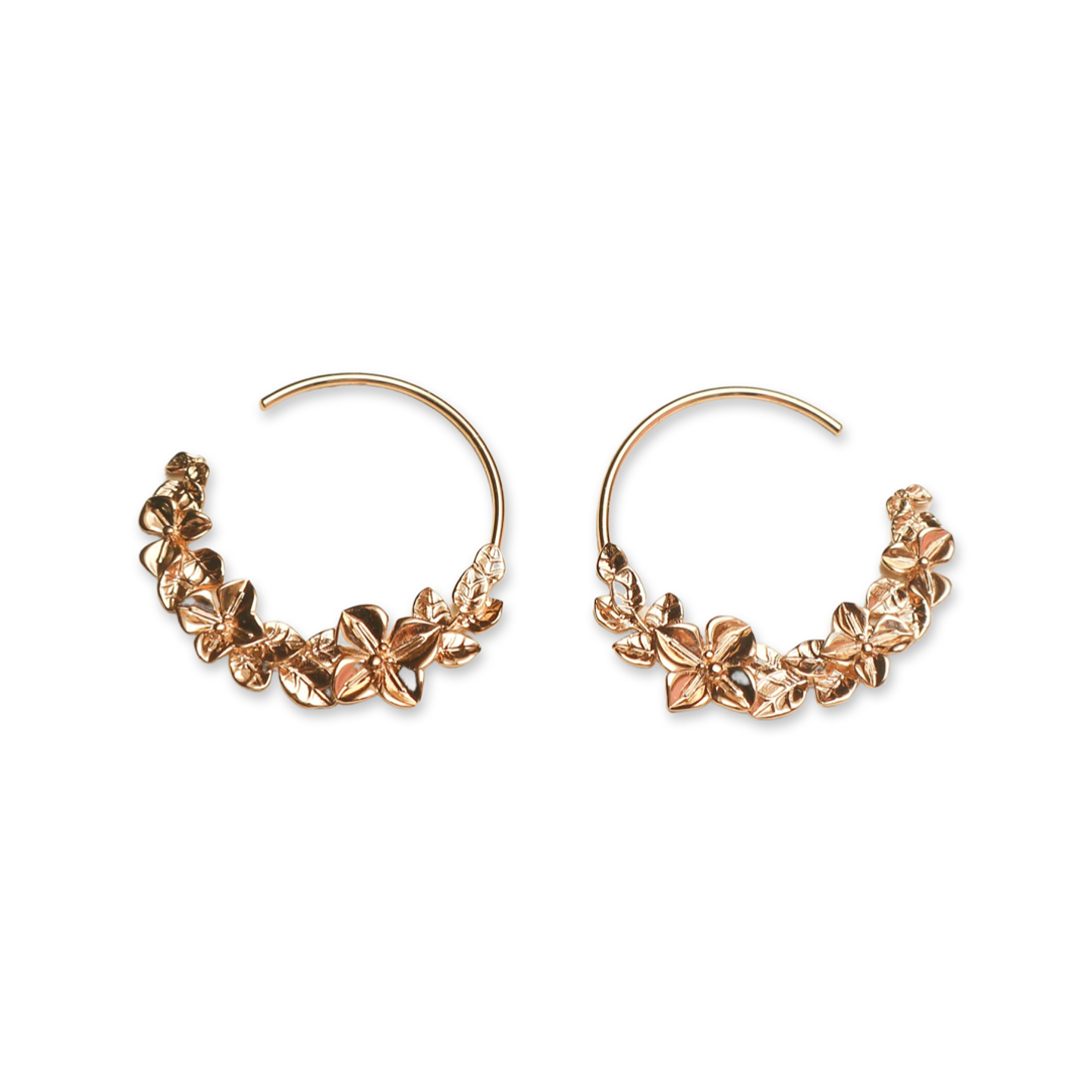 Argolas florescer  1