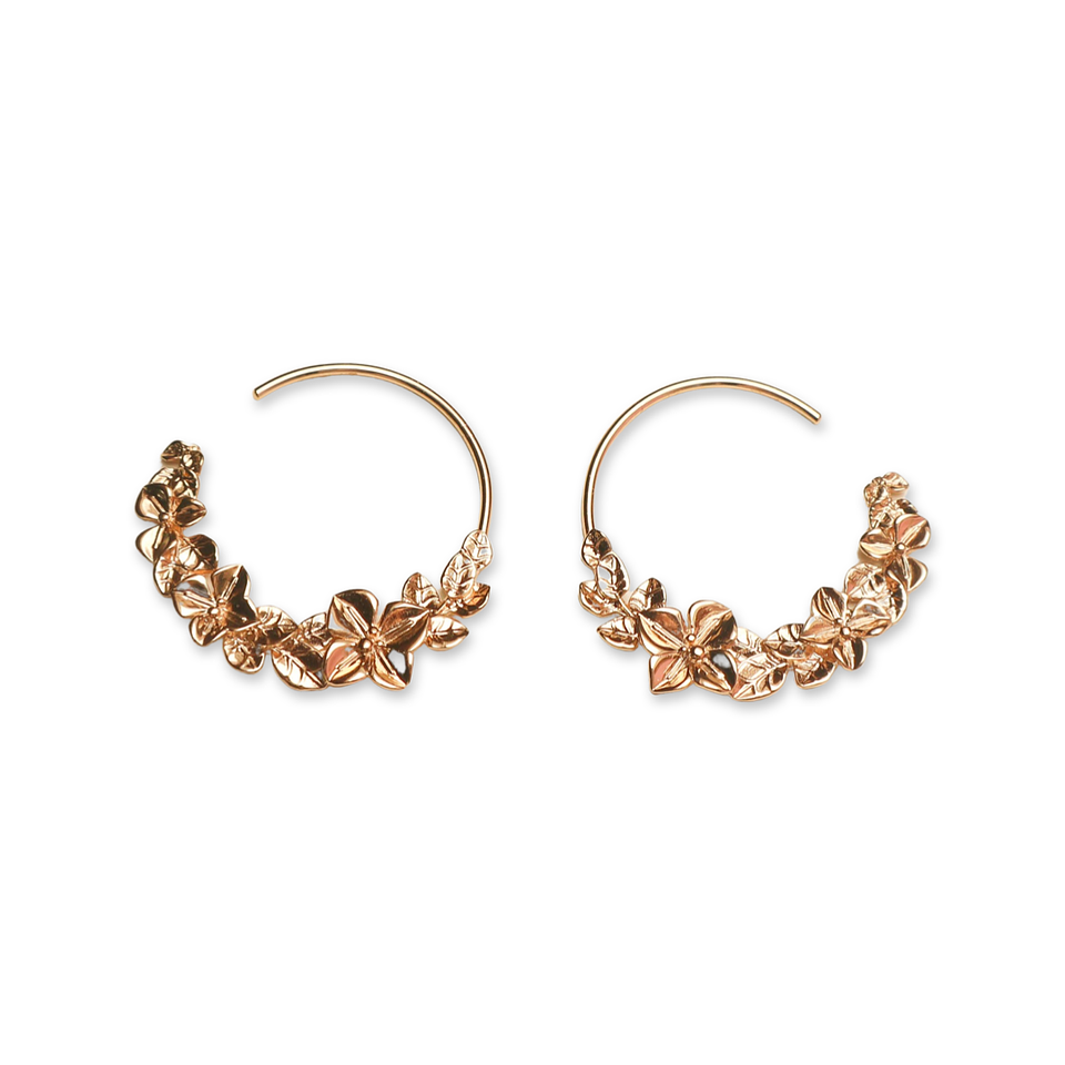 Argolas florescer  1