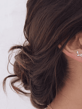 Brincos leaf com zircónias 