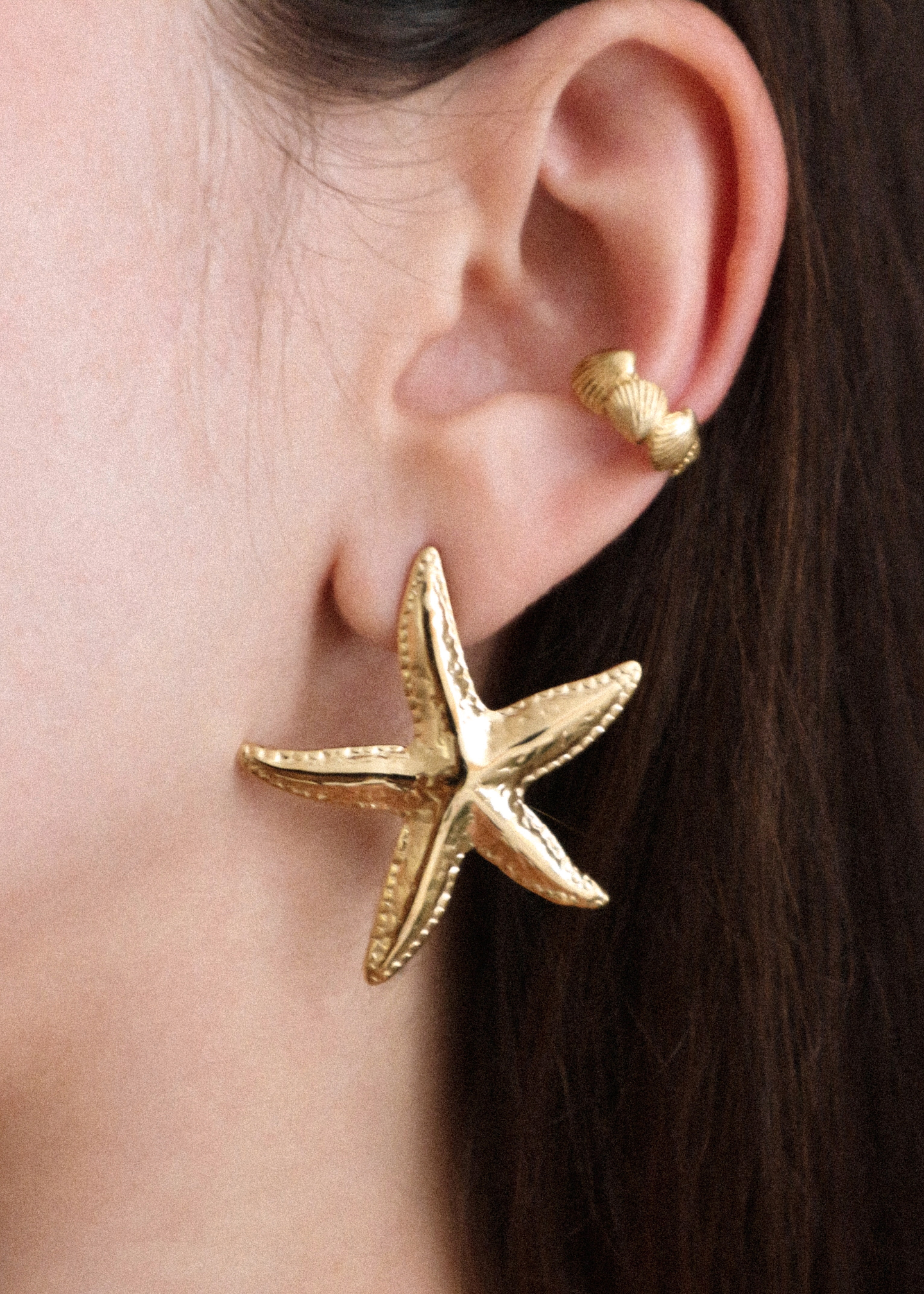 Brincos estrela do mar XL  2