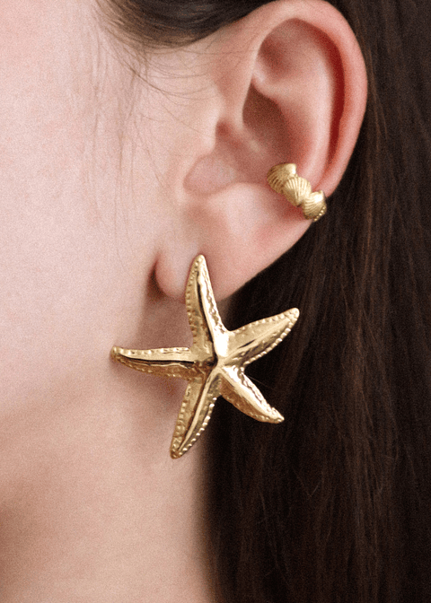 Brincos estrela do mar XL 