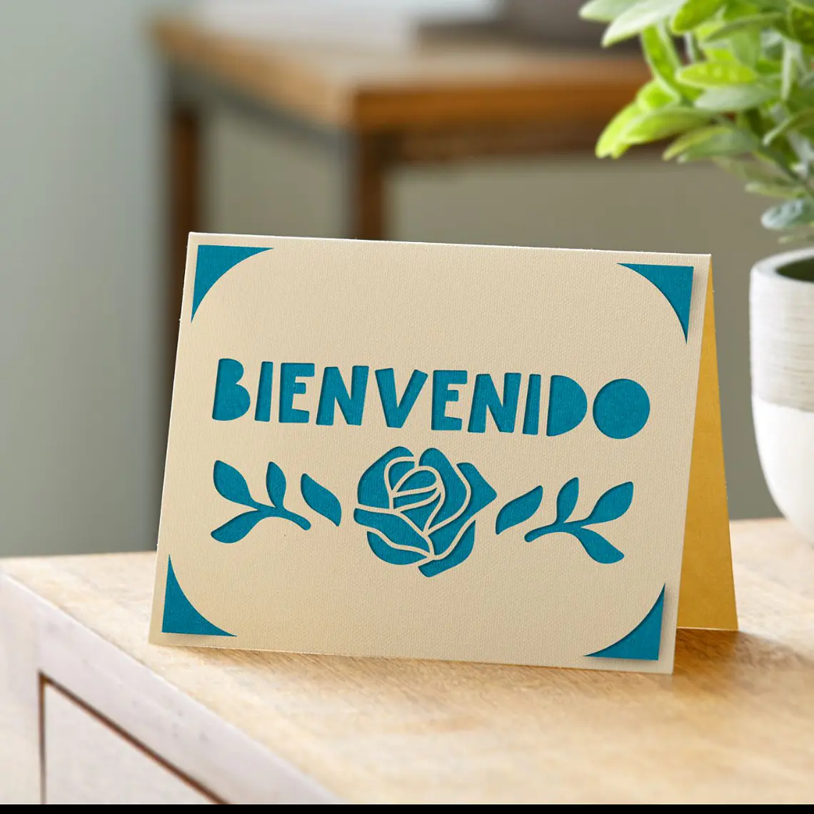 BIENVENIDAS - DESPEDIDAS - AGRADECIMIENTOS - SOLO UN DETALLE… 5