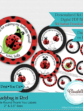 Ladybug in Red Labels Birthday Party, Ladybug Party Round Thank You Labels, Ladybug Personalized Labels, Garden Party, Ladybug One Birthday Party, Ladybug Party Favors/Digital File Only