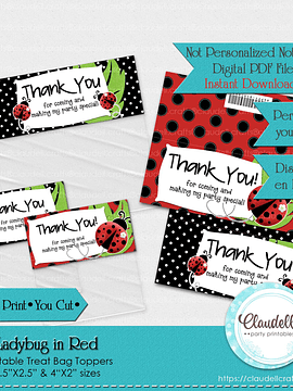 Ladybug in Red Treat Bag Topper, Ladybug Birthday Treat Bag Topper, Garden Party Decoration, Ladybug One Birthday Party, Ladybug Party Favors/Digital File Only