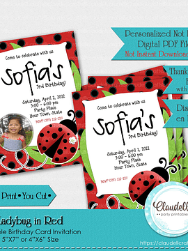 Ladybug in Red Invitation Birthday Party, Garden Birthday Invitation Card, Ladybug Party Invitation, Ladybug One Birthday Party, Ladybug Party Favors/Digital File Only