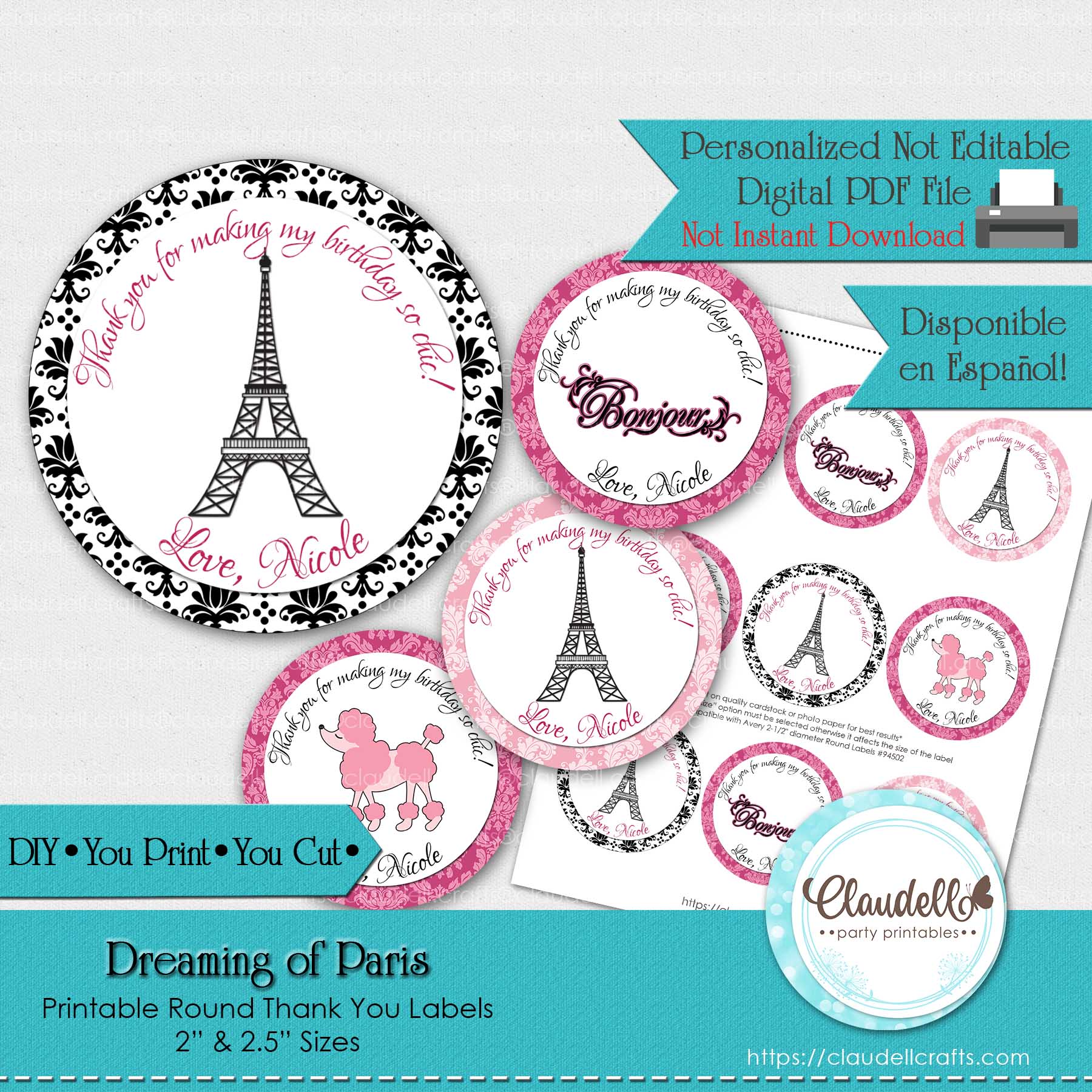 Dreaming of Paris Labels Birthday Party, Paris Party Round Thank You Labels, Paris Personalized Labels, Glam Party, Paris One Birthday Party, Paris Party Favors/Digital File Only