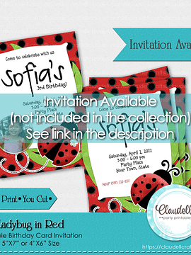 Ladybug in Red Collection Printable, Ladybug Birthday Party Decoration, Garden Party Decoration, Ladybug One Birthday, Ladybug Party Favors/Digital File Only