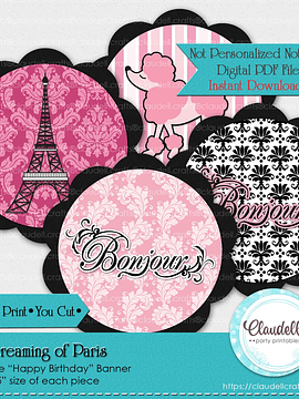 Dreaming of Paris Birthday Party Banner, Paris Party Decorations, Paris One Birthday Party, Glam Party, Paris Party Favors/Digital File Only