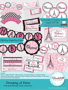 Dreaming of Paris Collection Printable, Paris Birthday Party Decoration, Paris One Birthday, Glam Party, Paris Party Favors/Digital File Only