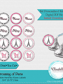 Dreaming of Paris Kisses Labels (Hershey) Paris Party Decoration, Paris One Birthday Party, Paris Wrapper Label, Glam Party, Paris Party Favors/Digital File Only
