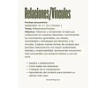 Laboratorio de la Experiencia - PG Relaciones/Vículos