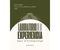 Laboratorio de la Experiencia - Psicoterapia grupal