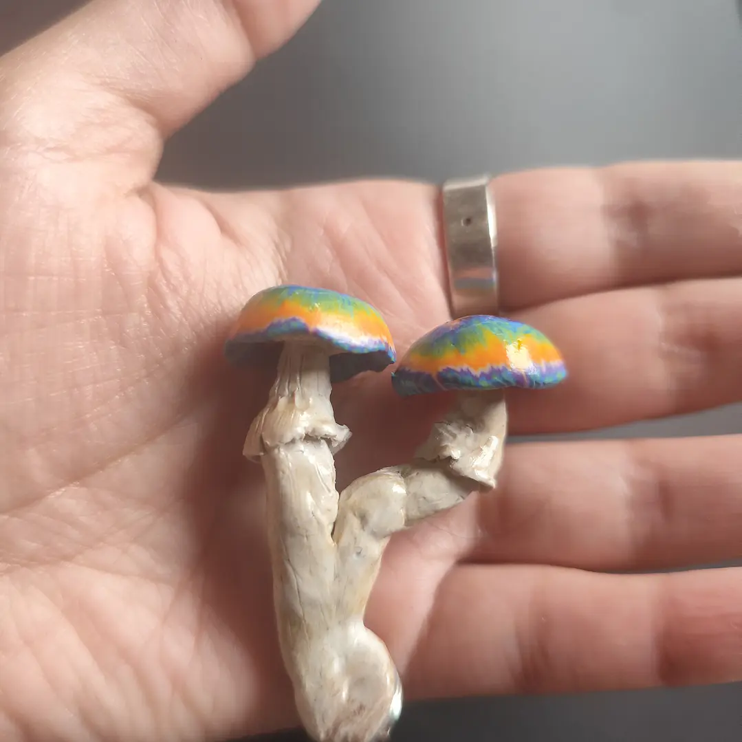 Flor + Honguito Arcoiris ♥ 4