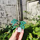 Monstera Deliciosa 2 ♥ - Miniatura 2
