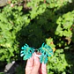 Monstera Deliciosa 2 ♥ - Miniatura 4