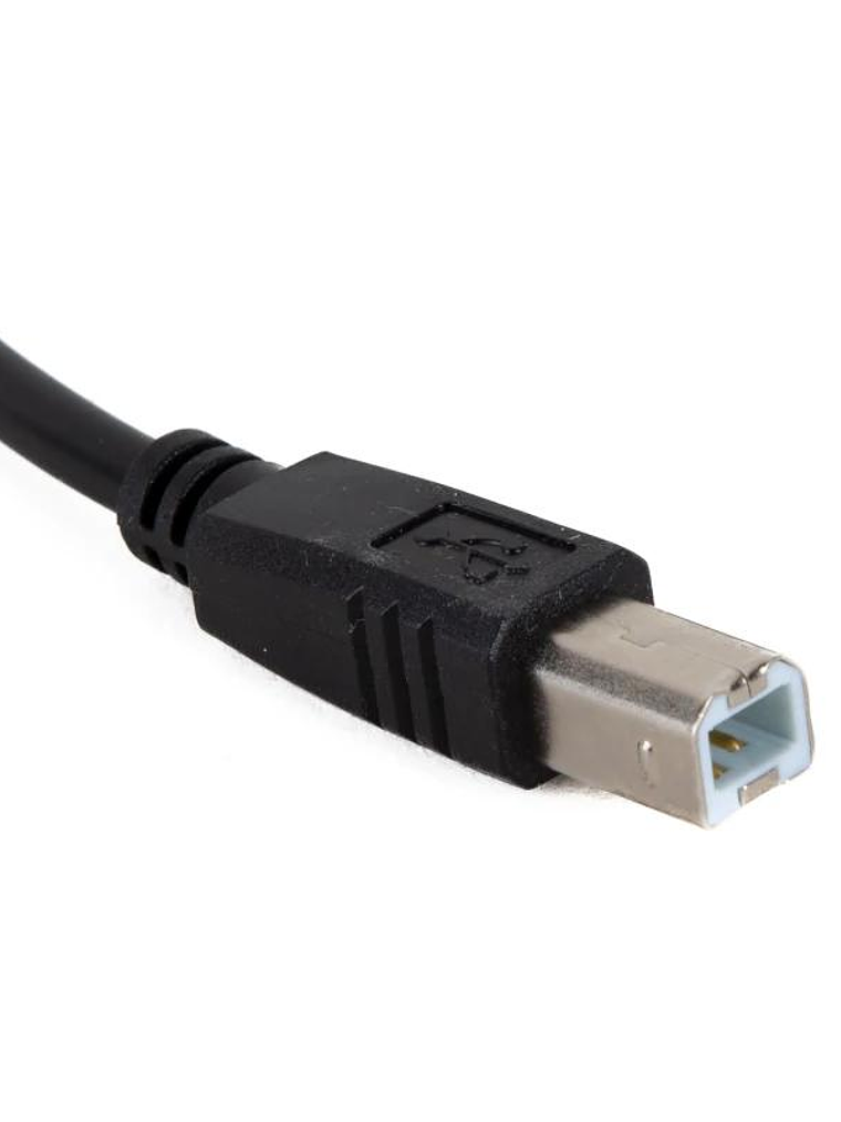 iggual Cable USB 2.0 A(M)-B(M) A-B macho 2 metros 4
