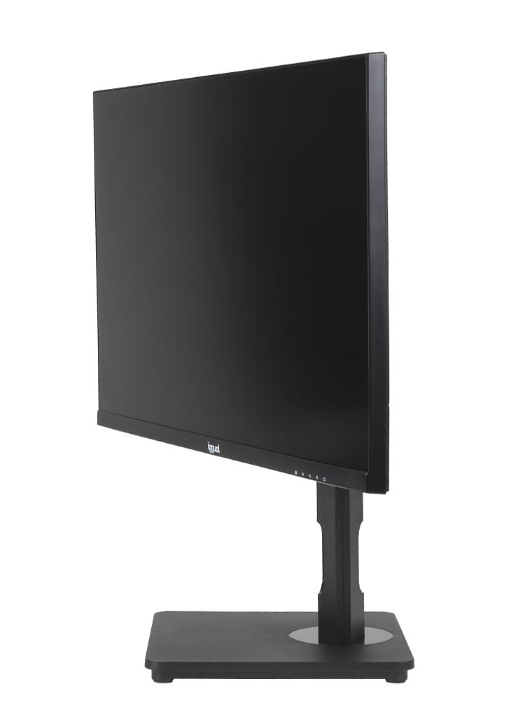 iggual Monitor 27