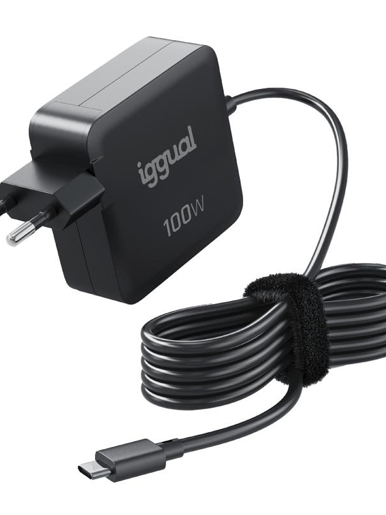 iggual Cargador portátil y móvil tipo C PD 100W 1