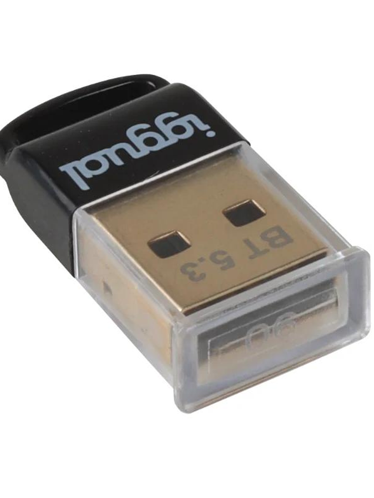 iggual Adaptador USB 2.0 mini Bluetooth 5.3 3