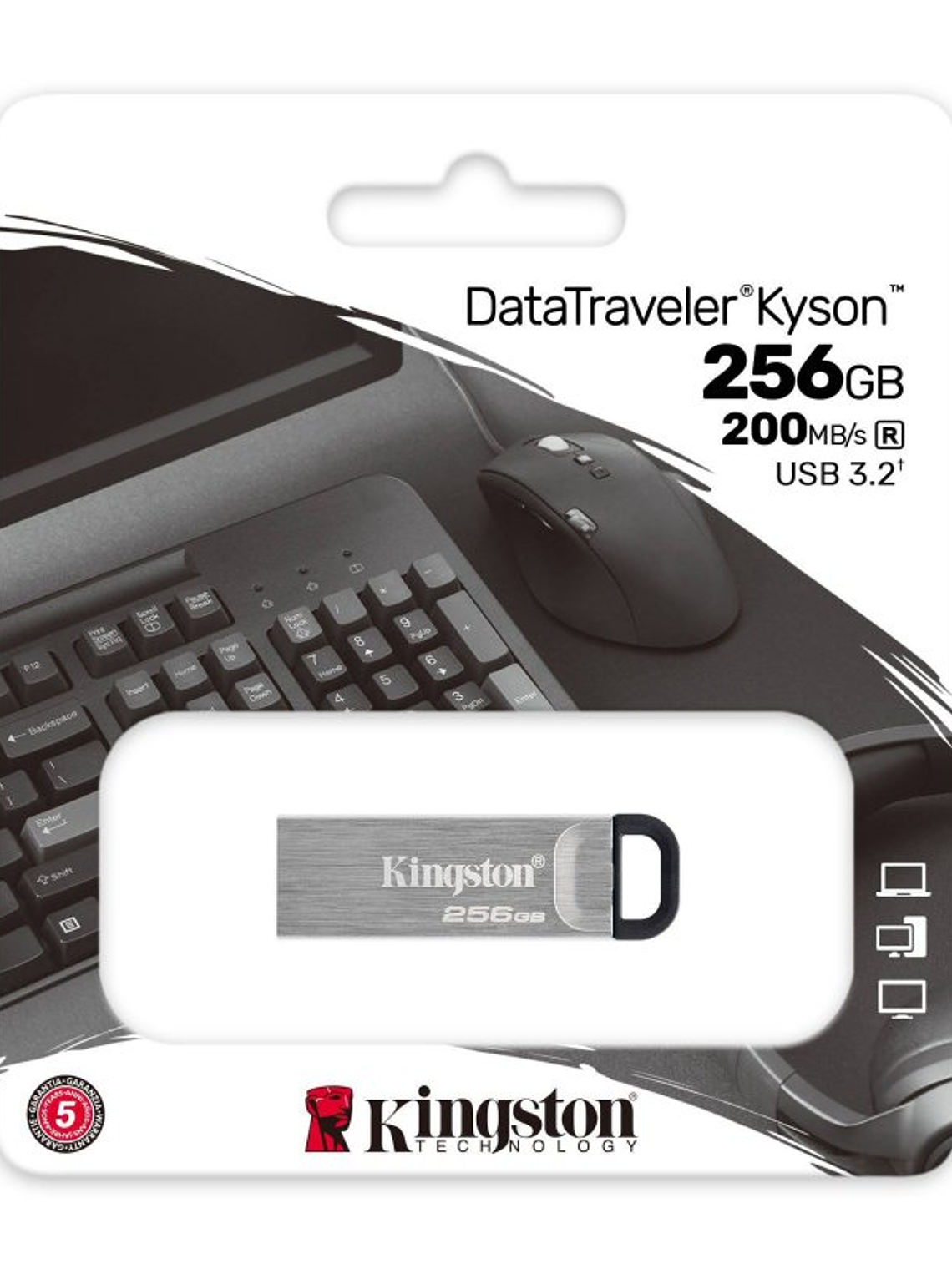 Kingston DataTraveler DTKN 256GB USB 3.2 Gen1 Plat 3
