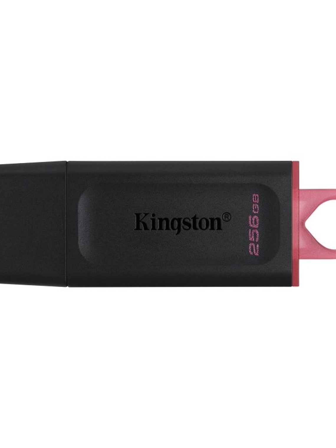 Kingston DataTraveler DTX 256GB USB 3.2 Gen1 Negro 1