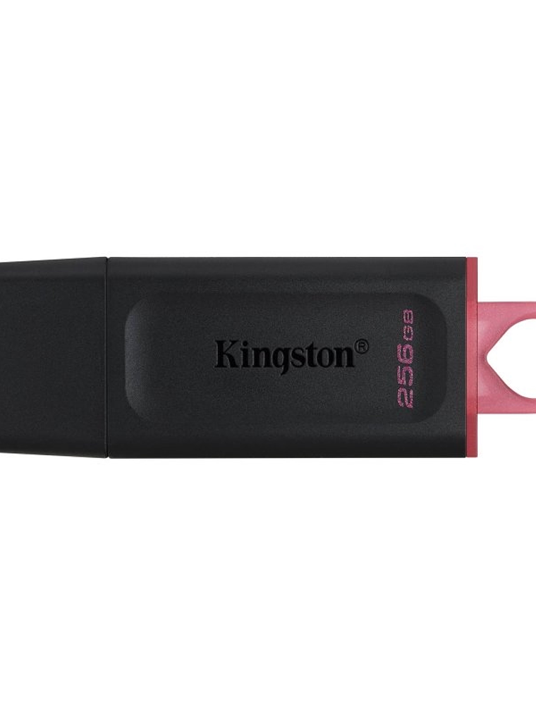 Kingston DataTraveler DTX 256GB USB 3.2 Gen1 Negro 1