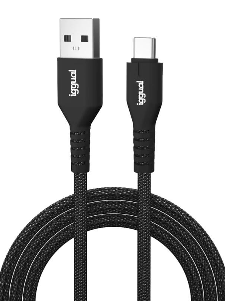 iggual Cable USB-A a tipo C 3A 100 cm trenzado 1
