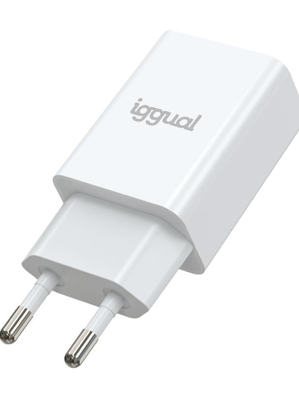 iggual Cargador de pared 1xUSB 5V/2A (10W) 1