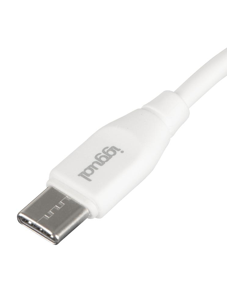 iggual Cable USB-C/USB-C 100 cm blanco Q3.0 3A 60W 4
