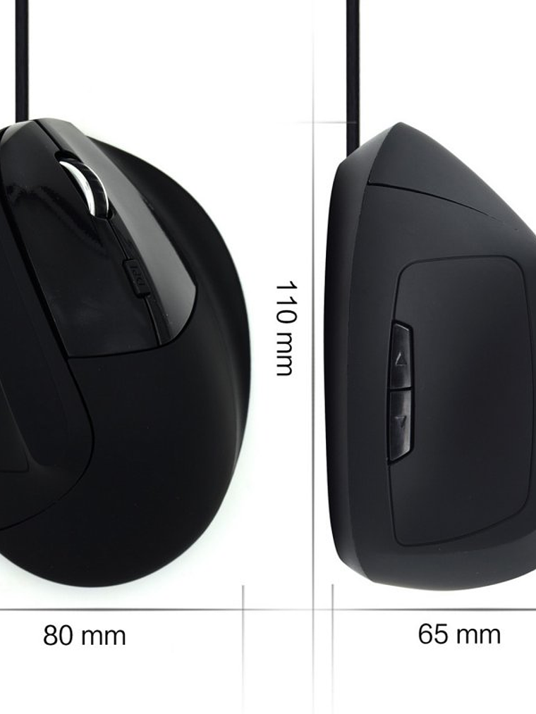 Ewent EW3157 Ratón óptico Vertical Usb 2.0 3