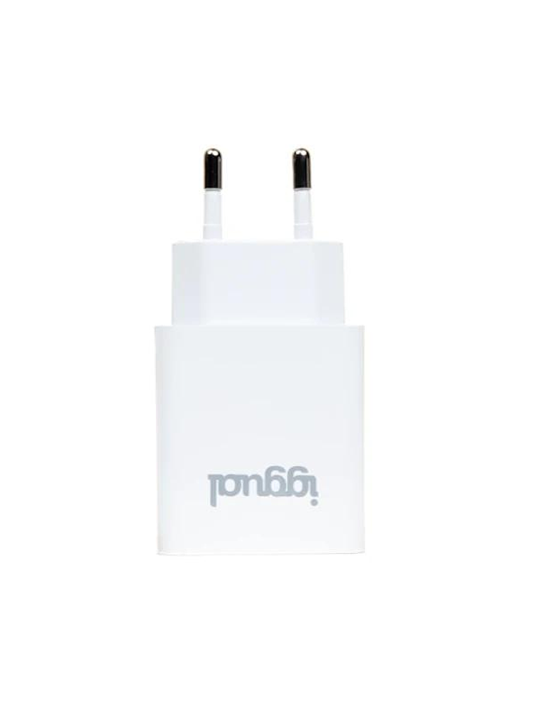 iggual Cargador rápido de pared USB PD tipo C 30W 2