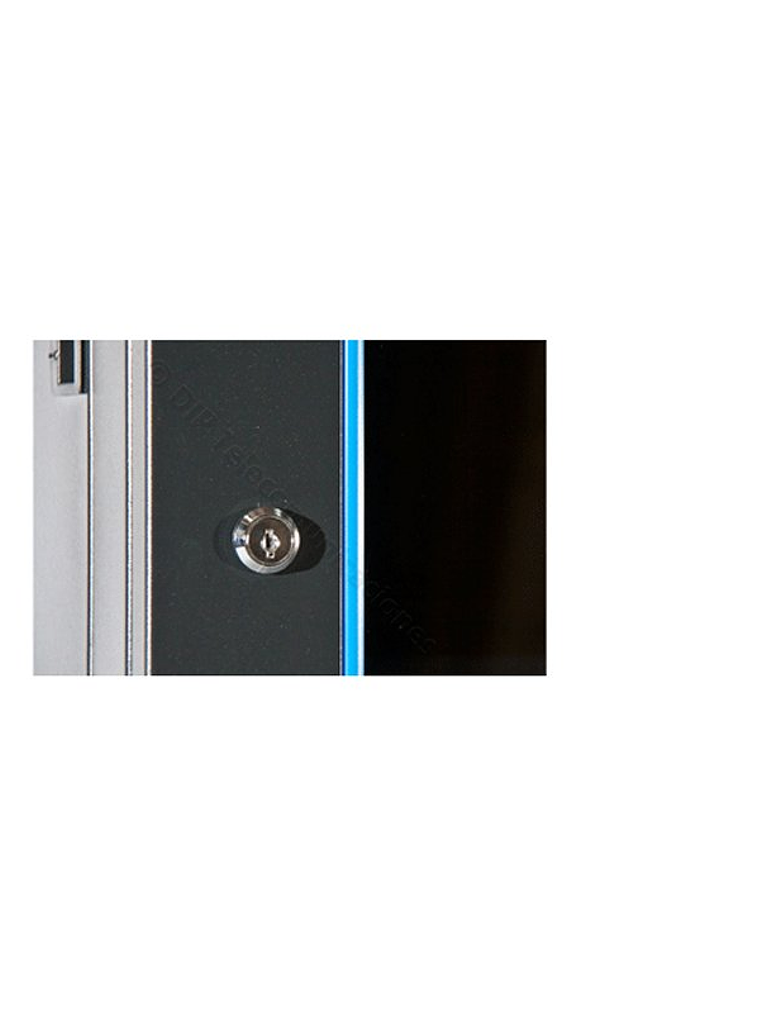 2LAN Armario Mural 6U 19