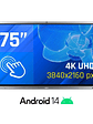iggual Pantalla interactiva 4K ORCHID 75