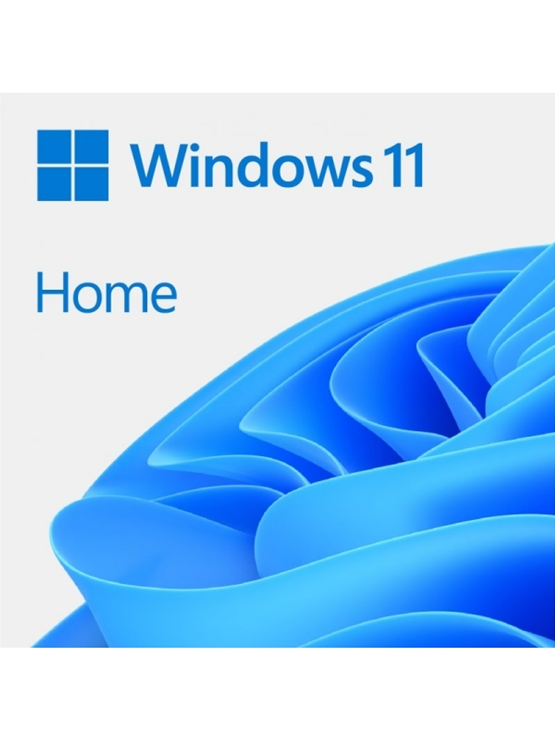 Microsoft Windows 11 Home 64b  Es OEM DVD 1