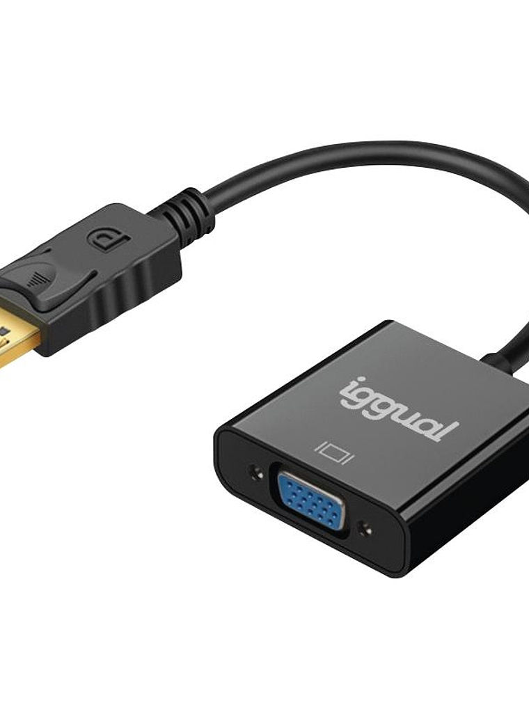 iggual Adaptador DisplayPort (M) a VGA (H) 1