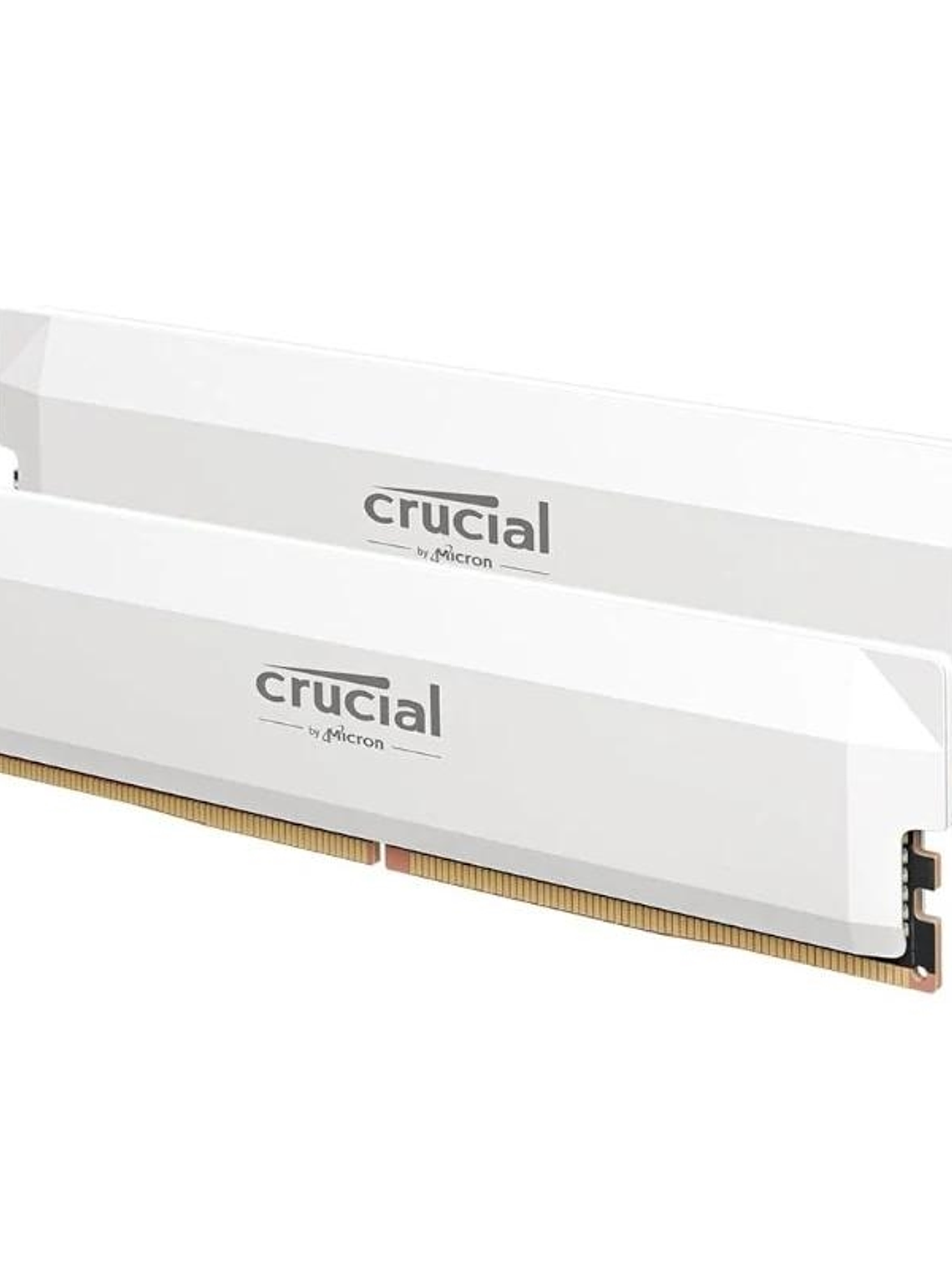 Crucial PRO CP2K16G64C38U5W 32GB(16x2) DDR5-6400 W 1