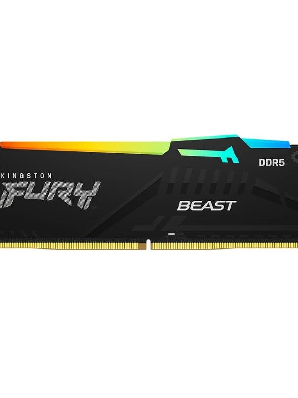 Kingston KF560C30BBEA-32 DDR5 6000 CL30 RGB EXPO 1