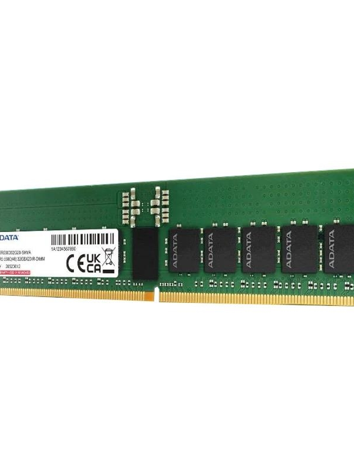 ADATA RAM AD5R560064G40-SHYA 64G 5600M DDR5 RDIMM 1
