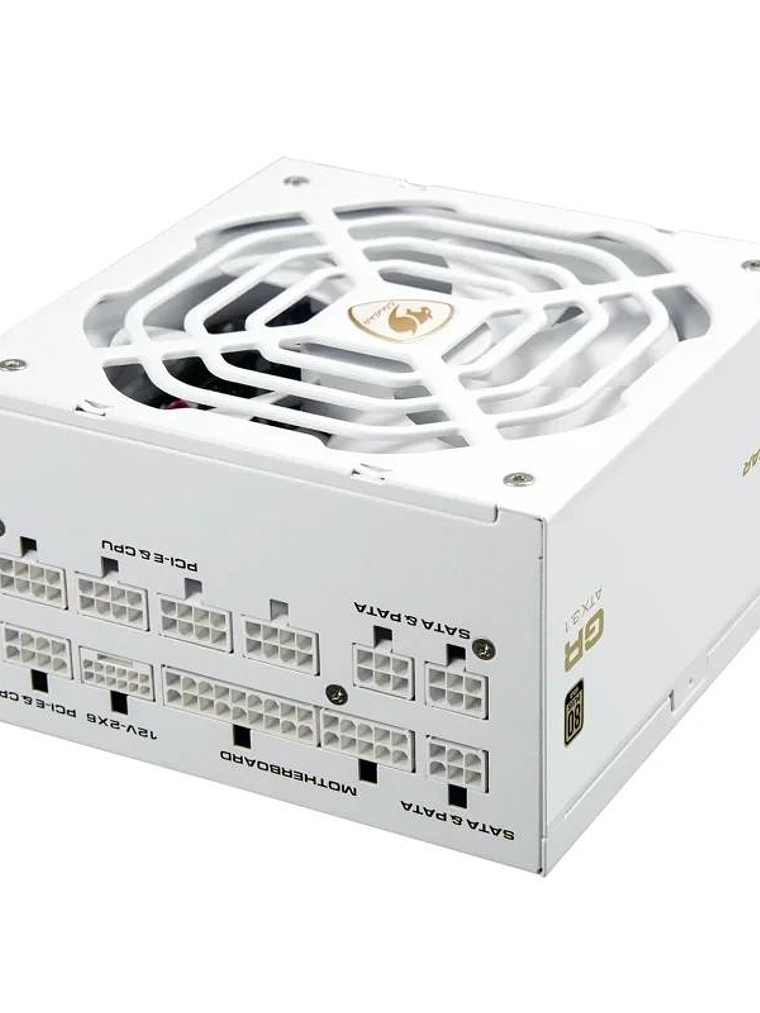 Cougar Fuente Alimentación GR 1000 Snow 80+ Gold 1