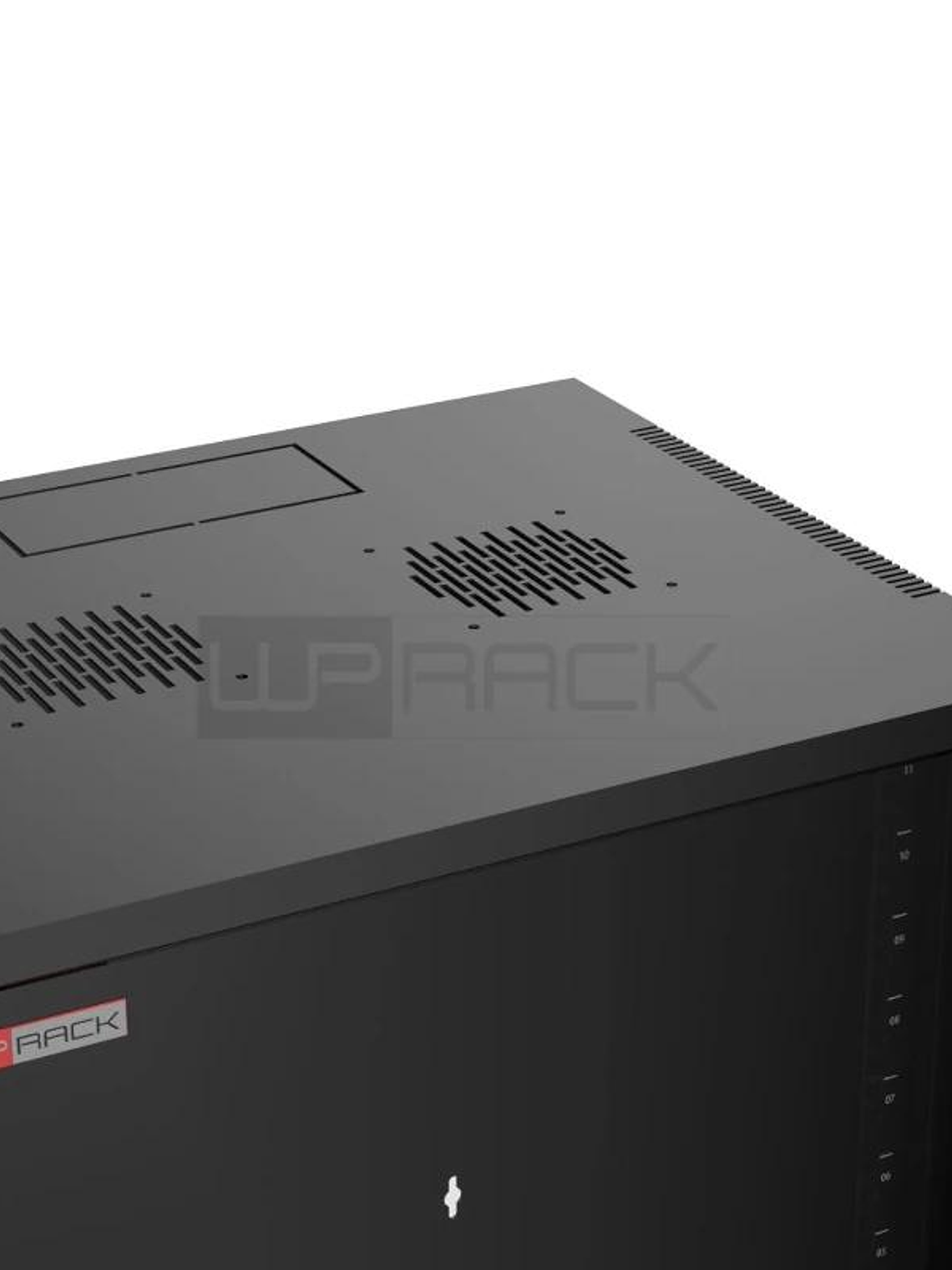 WP Armario Mural 12U RWA-12604 540x450x580mm 3