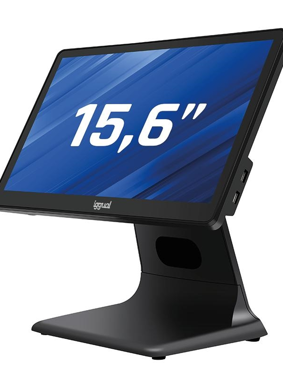iggual TPV AIO 15,6