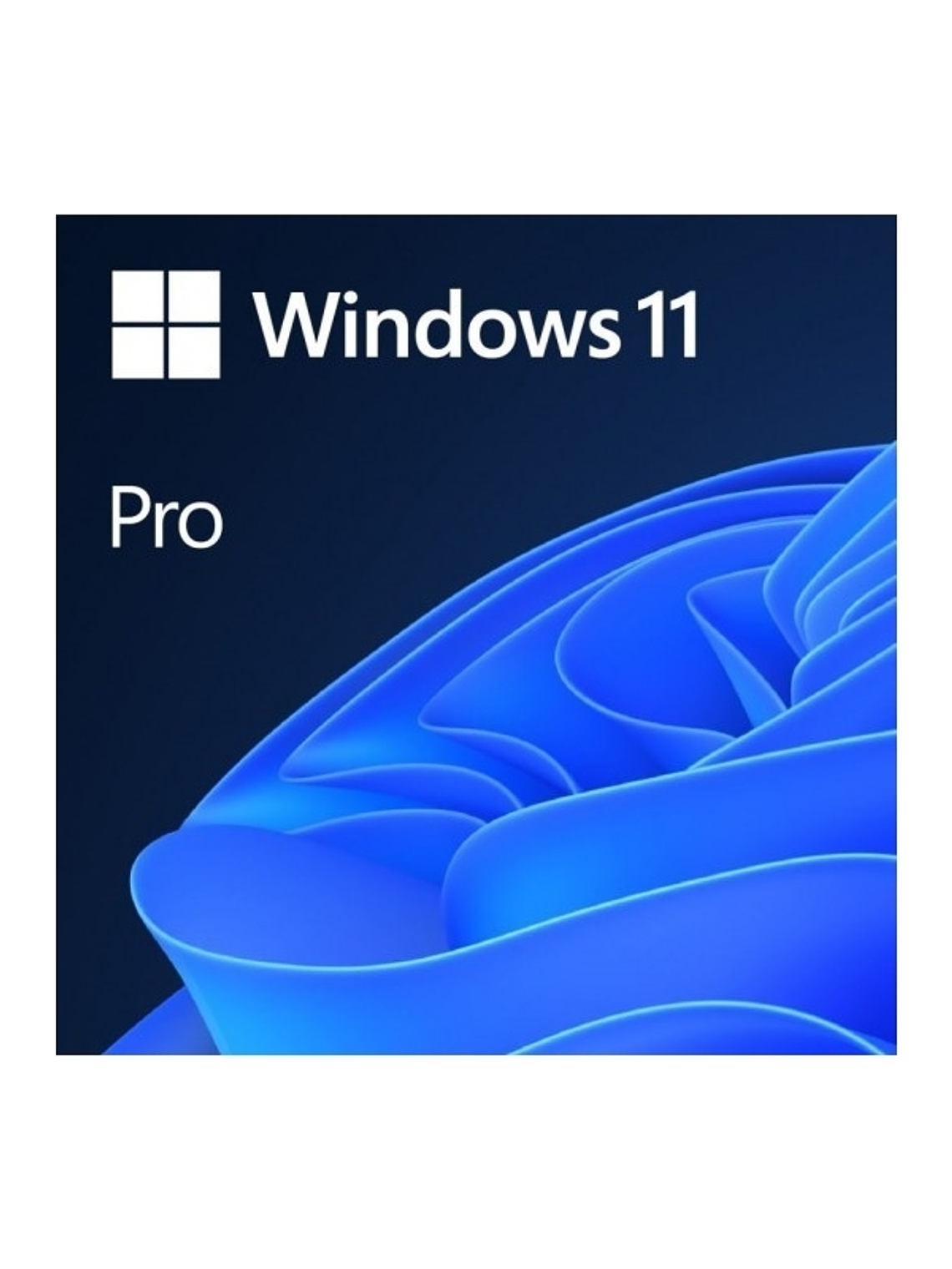 Microsoft Windows 11 Pro 64b  Es OEM DVD 1