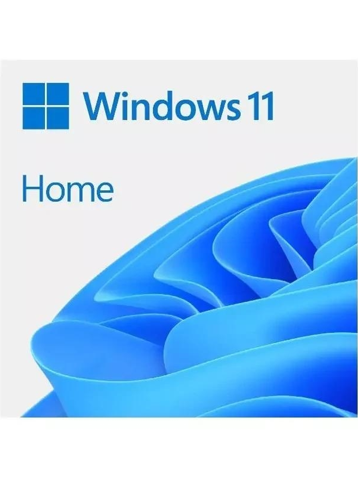 Microsoft Windows 11 Home 64b  ESD 1