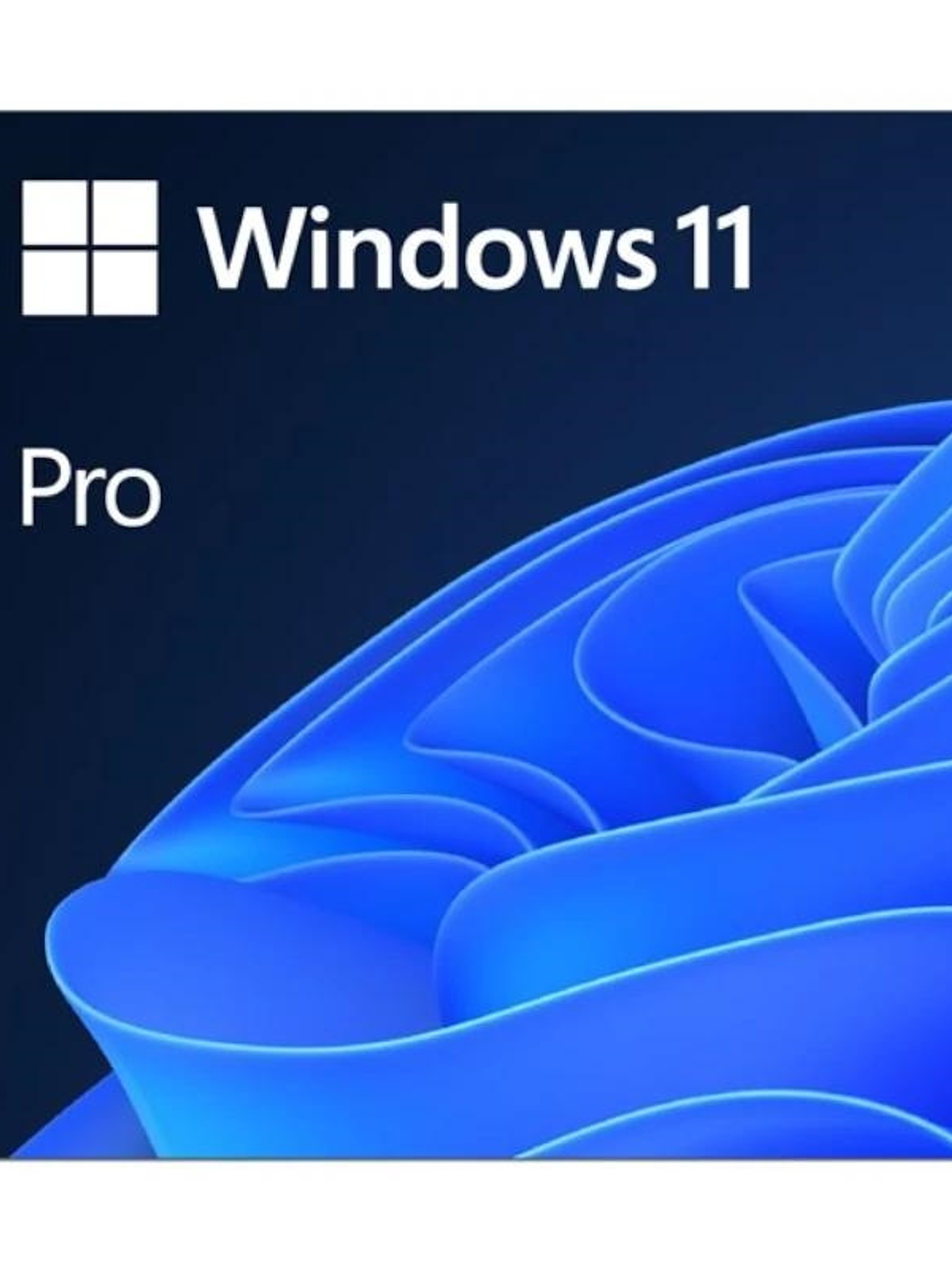 Microsoft Windows 11 Pro 64b  ESD 1