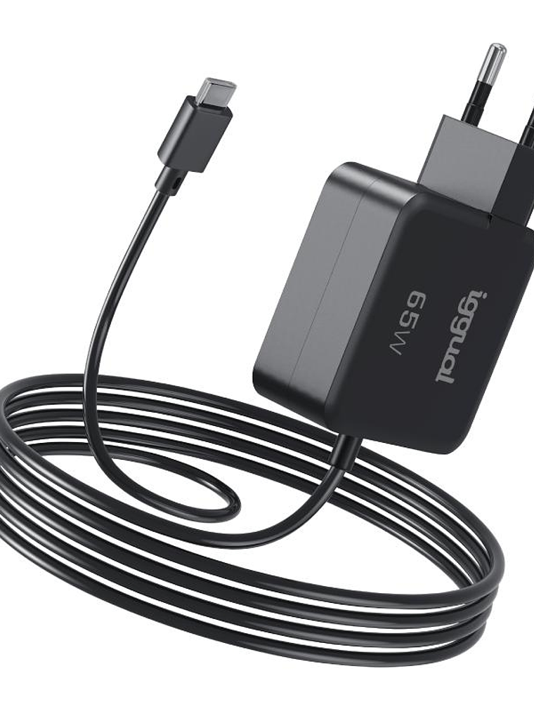 iggual Cargador portátil y móvil tipo C PD 65W 1