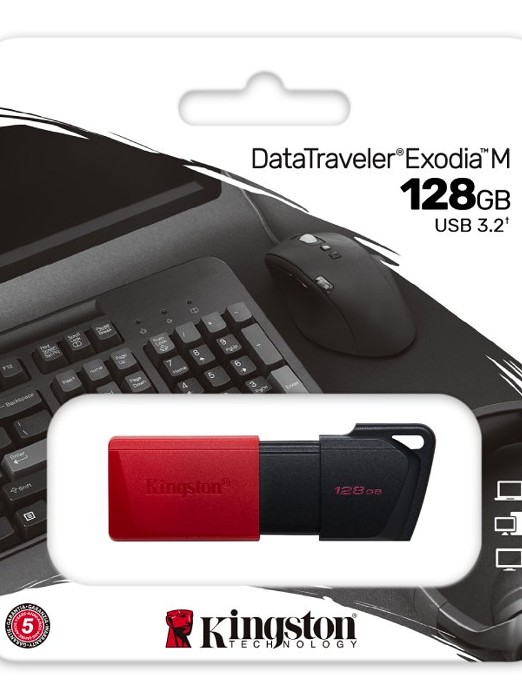 Kingston DataTraveler DTXM 128GB USB 3.2 Gen1 Rojo 3